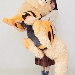 添い寝ウインディ
の画像