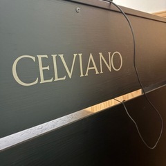 セルヴィアーノ（CELVIANO）AP-220BKの画像