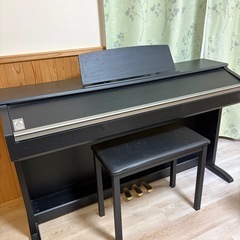 セルヴィアーノ（CELVIANO）AP-220BKの画像