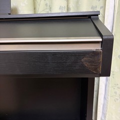 セルヴィアーノ（CELVIANO）AP-220BKの画像