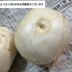 京千舞　カブ　1個 200円の画像