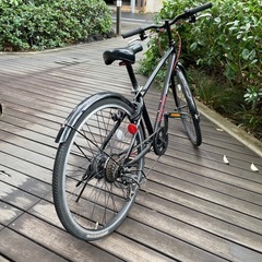 ブリヂストン 
SCHLEIN 24インチの画像