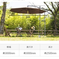 ガーデンパラソルの画像