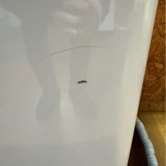 L2008 Panasonic パナソニック 縦型洗濯機 7kg 2018年製 正面キズありの画像