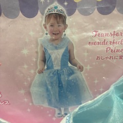 プリンセスドレス　ライトブルー　　の画像