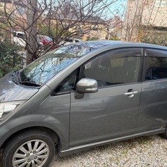 ダイハツ　車検　来年11月までの画像