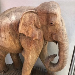 でかいゾウの画像