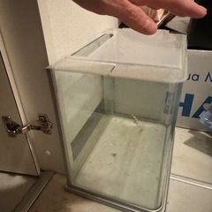 ガラス　水槽蓋付きの画像