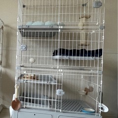 キャットケージの画像