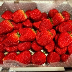 ⑦朝採り紅ほっぺ🍓　いちごの画像