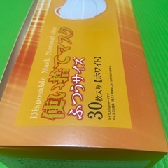 在庫10箱　使い捨てマスク30枚入りの画像