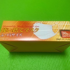 在庫10箱　使い捨てマスク30枚入りの画像