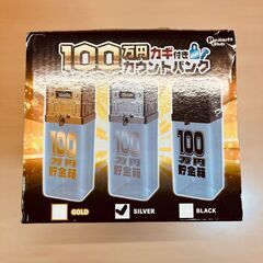 100万円貯められる カギ付きカウントバンク（シルバー）の画像