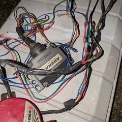 アリーナホーンの画像