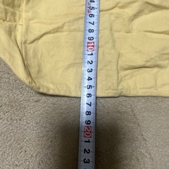 ヴィトンの保存袋の画像