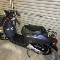ホンダ トゥデイ 50cc ／原付／発送無料の画像