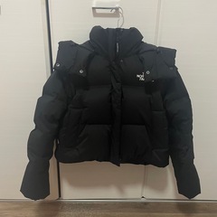 THE NORTH FACE NOVELTY NUPTSE DT DOWNの画像