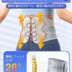 腰痛ベルト 腰痛 コルセット 男性用 女性用 骨盤ベルト 腰 サポーター Lの画像