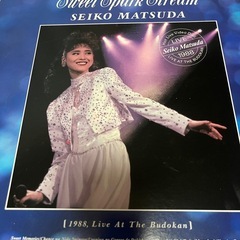 レコードレザーディスク14📀枚まとめ売り🎼.•*¨*•.¸¸♬🎶•*¨*•.¸¸♬•*¨*•.¸¸♪♡の画像