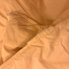 無印良品　羽毛布団の画像