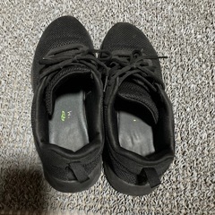 スニーカー 25.5cm スケッチャーズ 半年使用の画像