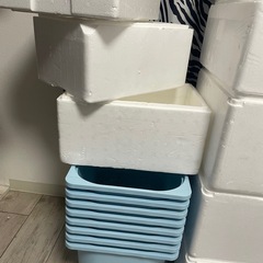 メダカ　ケースの画像