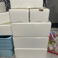 メダカ　ケースの画像