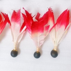 【昔ながらの郷土玩具】羽根つきの羽根『つくばね』21個セット 胡鬼子（こぎこ）5本羽根の画像