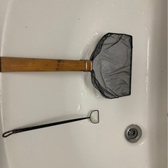 メダカ　用品の画像