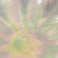 シェルの大きな器の画像