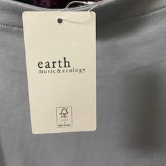 【未使用新品】カットソー　シアーチェックスリーブ　レディース　earth music&ecology 　　の画像