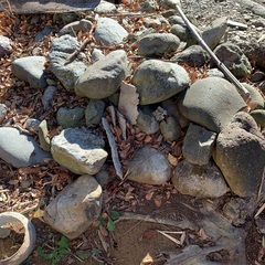 チャート　赤石　日本庭園　DIY　丸石　造園の画像