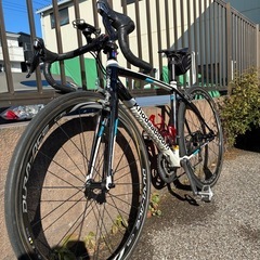 khodaabloom FARNAの画像