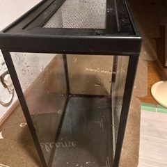 爬虫類ケージFive Plan・VIVA FOREST.の画像