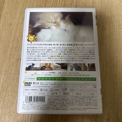 DVD にゃんこ3の画像