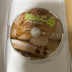DVD にゃんこ4の画像