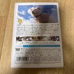 DVD にゃんこ4の画像