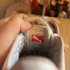 14cmプーマの画像