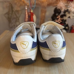 14cmプーマの画像