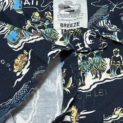 キッズ半袖シャツ
の画像