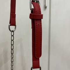 ハートのバッグの画像