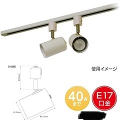 大光電機　ガラス製　ダクトレール　スポットライト　3個セット　とスポットライトの画像