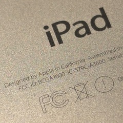 iPad mini 型版A1600の画像