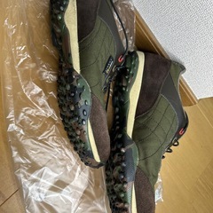 kappaゴルフ靴トレーニングシューズの画像