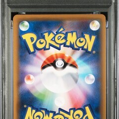 シロナ&カトレア P [S-P 088](プロモーションカード「楽しもう。春、ポケカ」)の画像