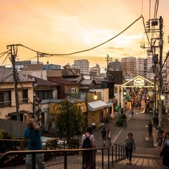 【大山ハッピーロード・板橋区・荒川区・一部台東区】支える人。 役割分担があるから、無理なく続く配送です。の画像