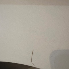 マントルピース　LOWYA の画像