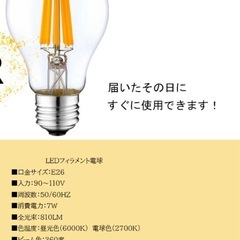 【未使用品】ペンダントライト2個セット LED電球付き 黒・金の画像