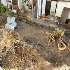 庭の残土を差し上げますの画像