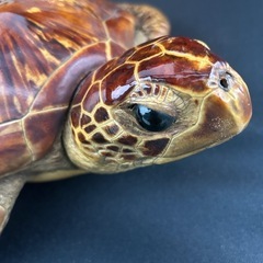 カメの置物　壁掛けの画像